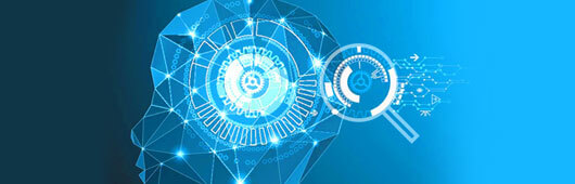 Natural Language Processing (NLP)